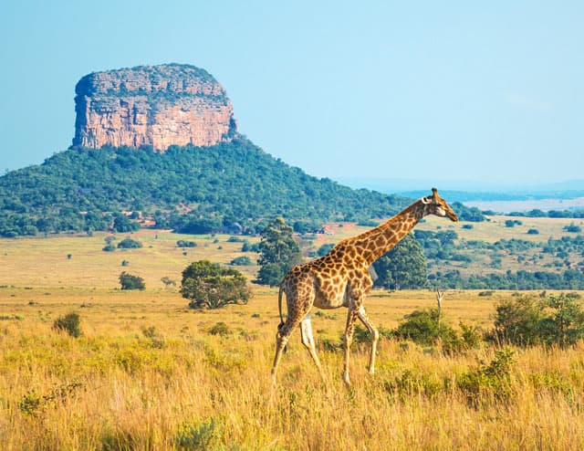 Gaborone