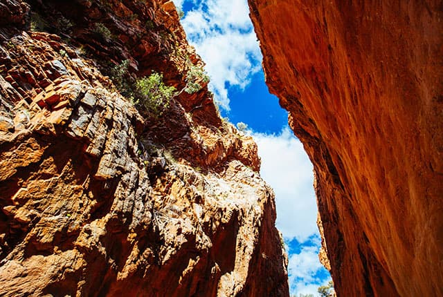Alice Springs