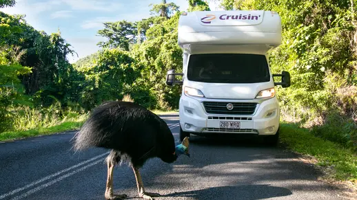 4 Berth Adventurer
