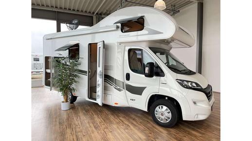 XGO SUNSTAR - Dynamic 27 (Hund erlaubt)